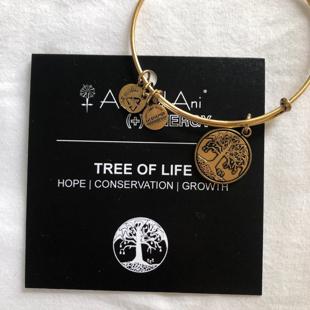 Various Alex and Ani Gold Bracelets